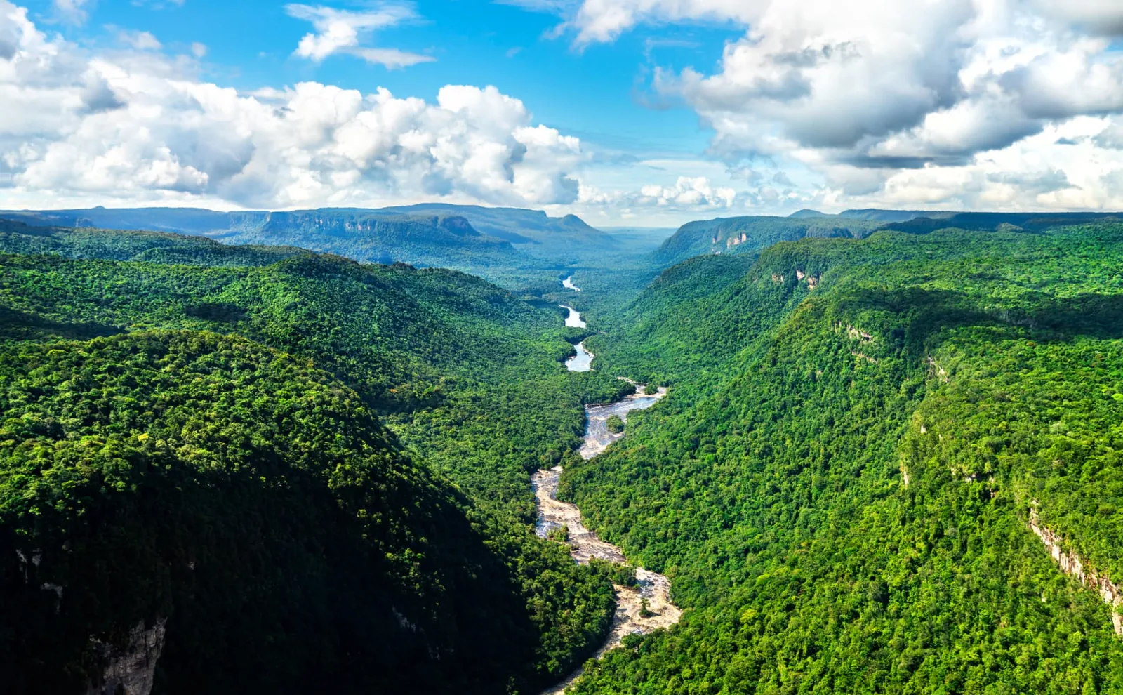 Flusstal zwischen dicht bewaldeten Bergen