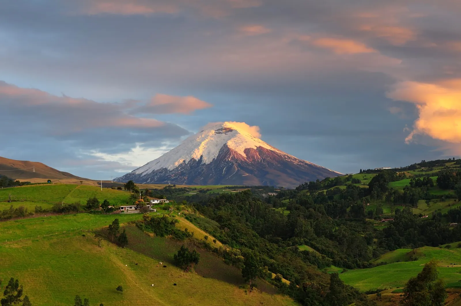 Cotopaxi im Abendlicht über grüner Landschaft