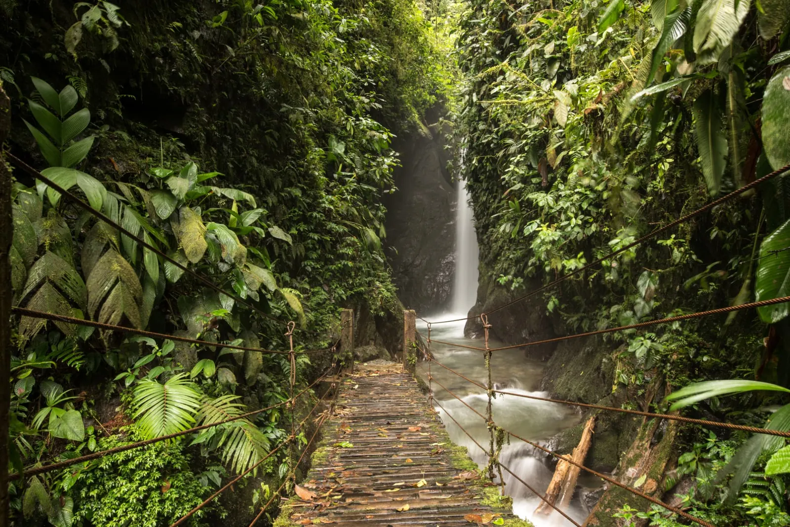Hängebrücke vor einem Wasserfall im tropischen Wald
